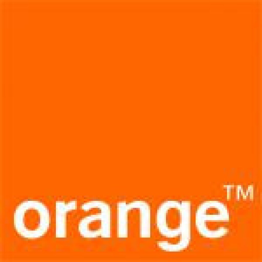 Orange Logo.