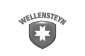 Wellensteyn logo