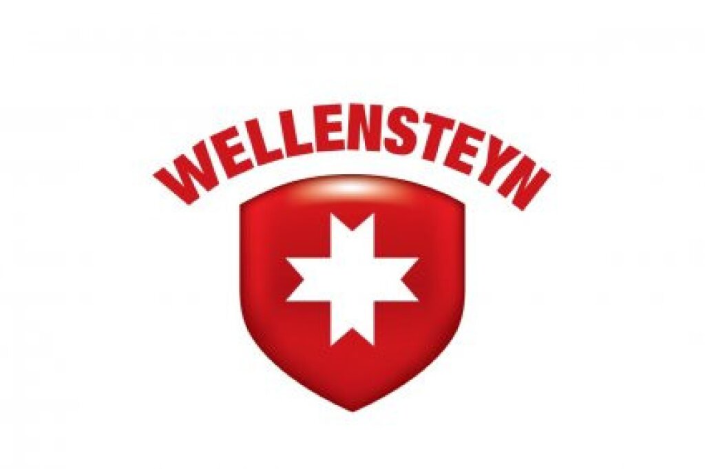 Wellensteyn Logo.